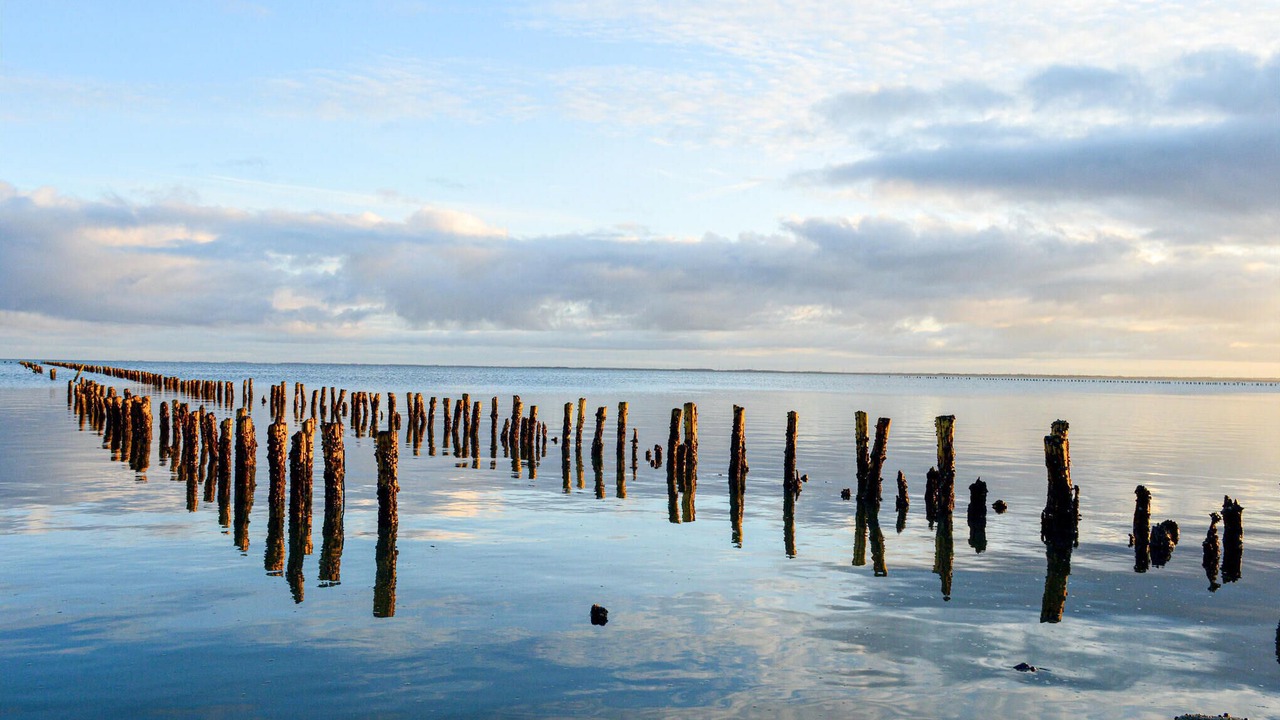 Photo of Others in Kongsmark