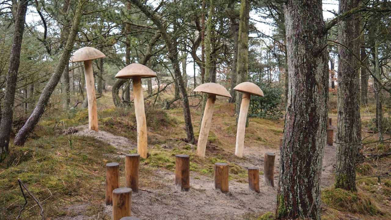 Photo of Others in Kongsmark