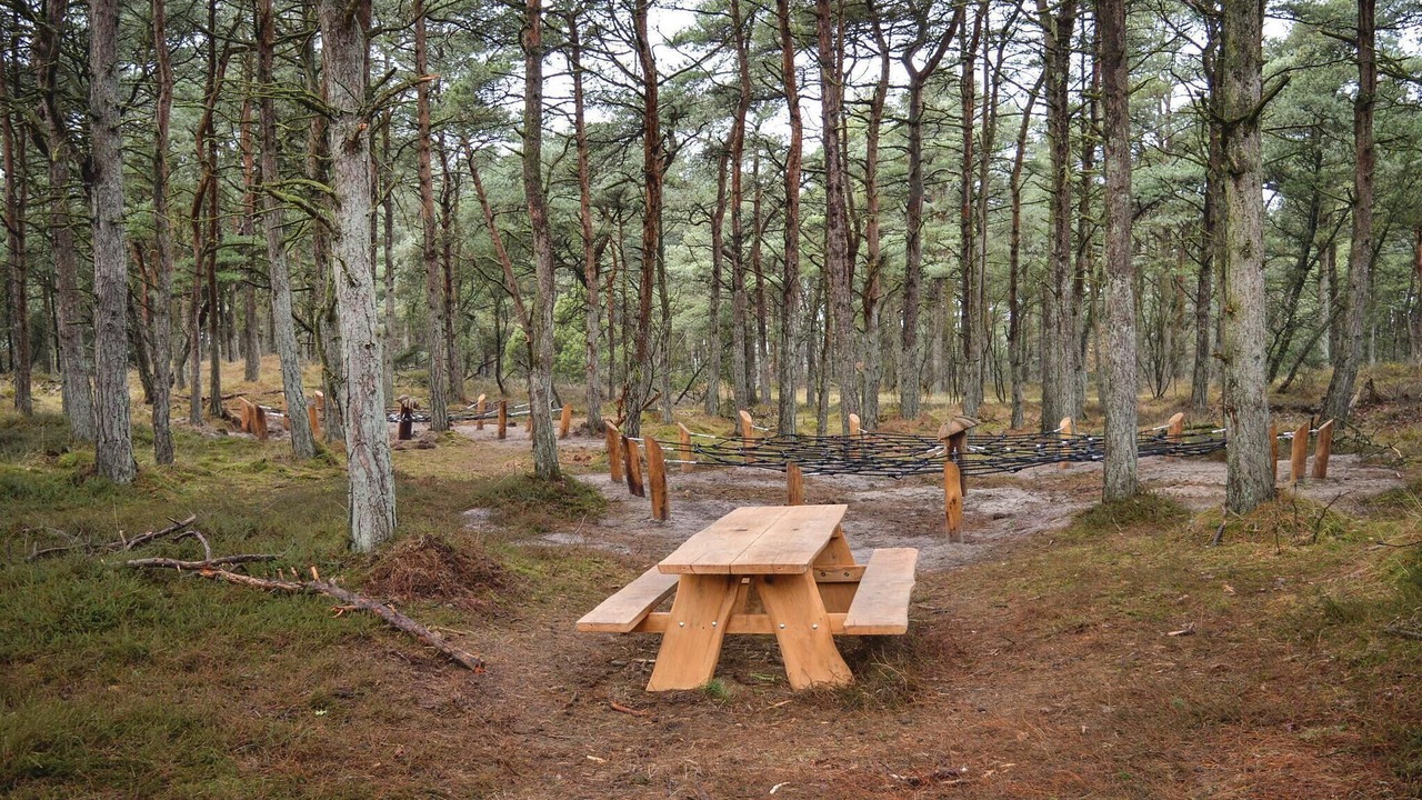 Photo of Others in Kongsmark