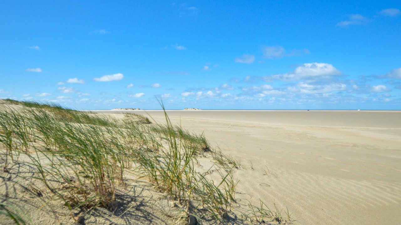 Photo of Others in Kongsmark