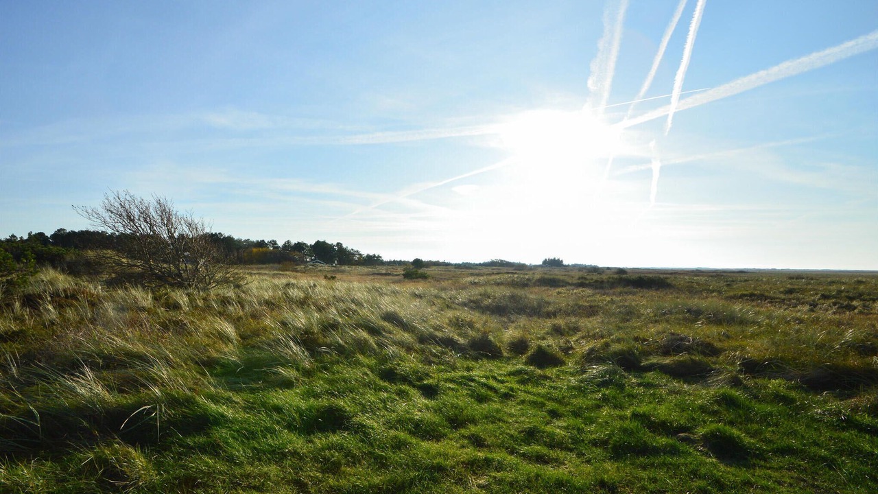 Photo of Others in Toftum