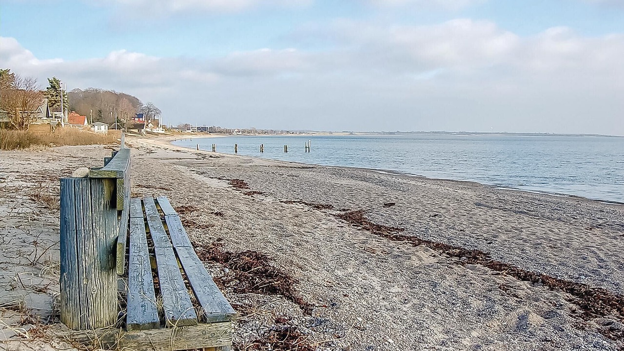 Photo of Others in Skovbyballe