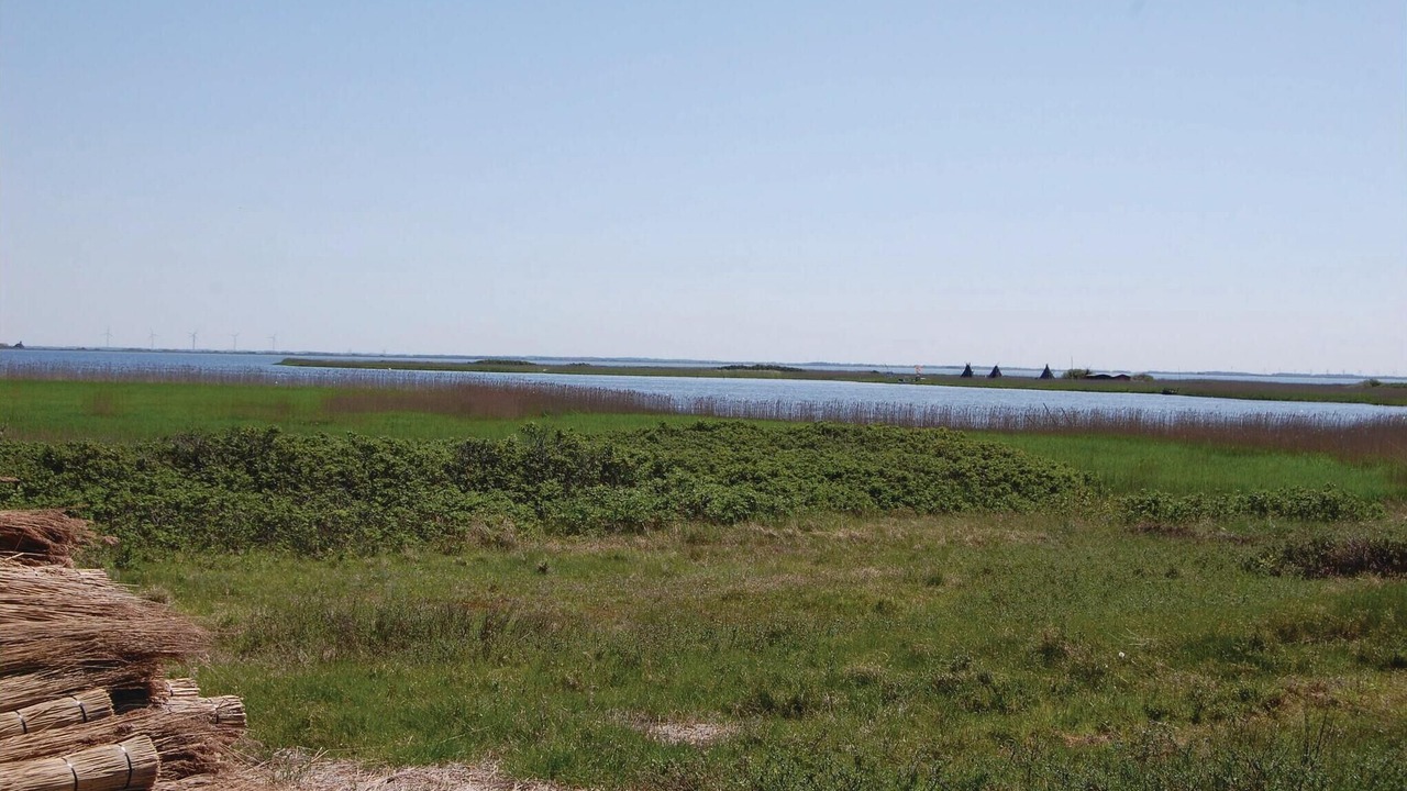 Photo of Others in Bjerregaard