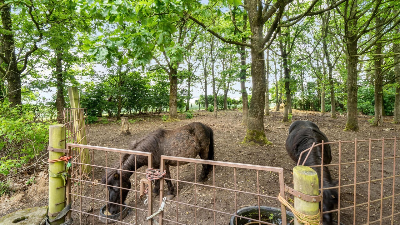 Photo of Others in Logstrup