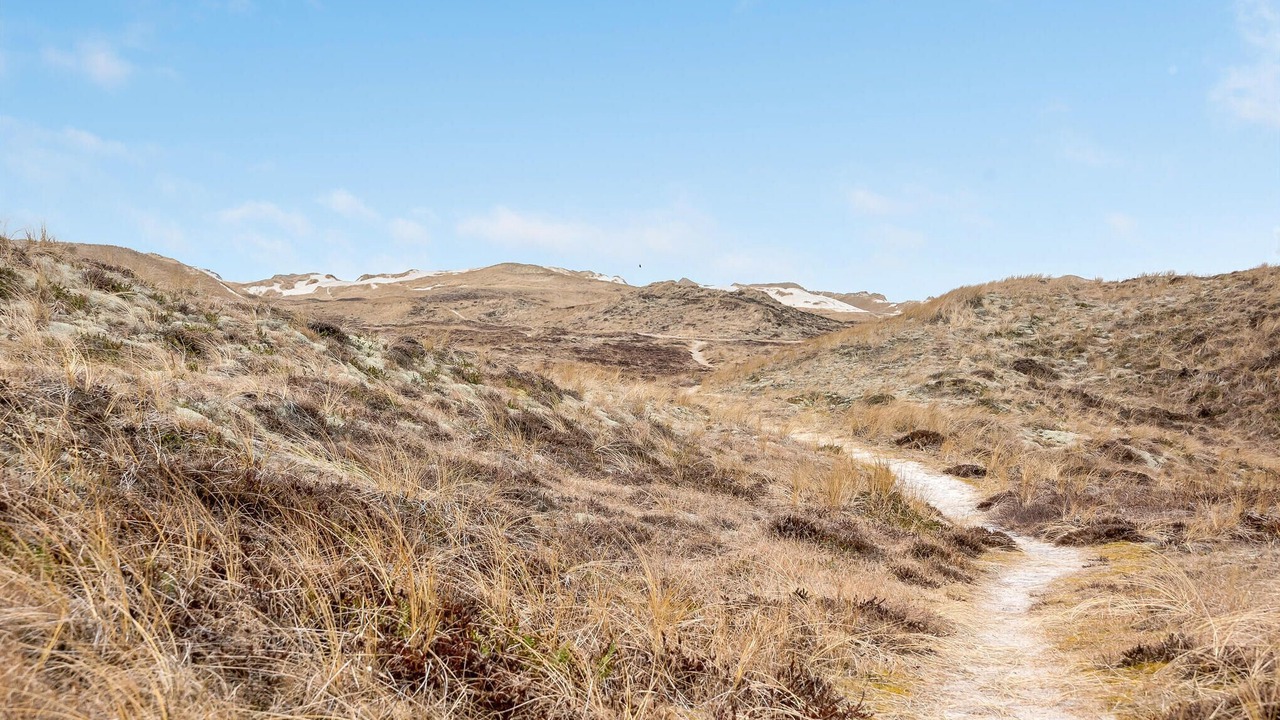 Photo of Outdoor in Hvide Sande