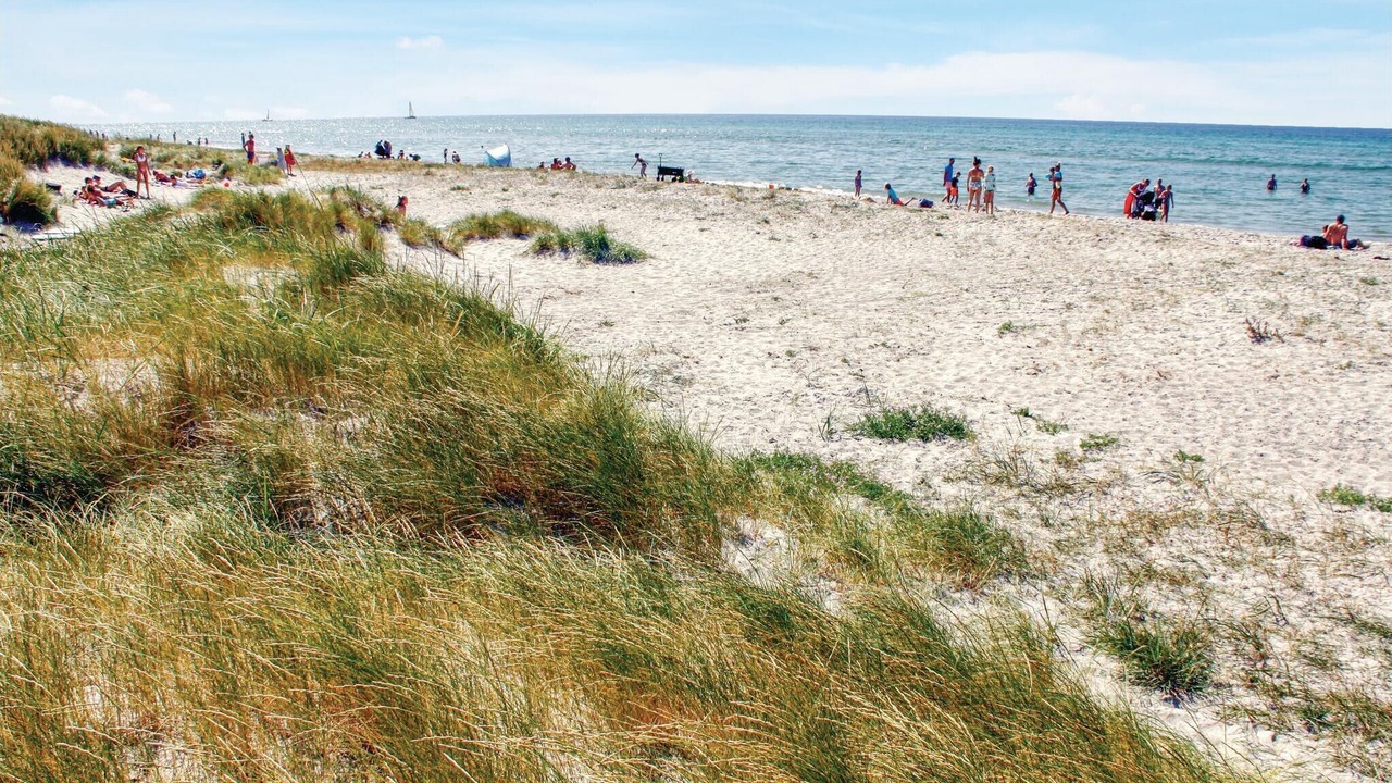 Photo of Others in Øer Strand