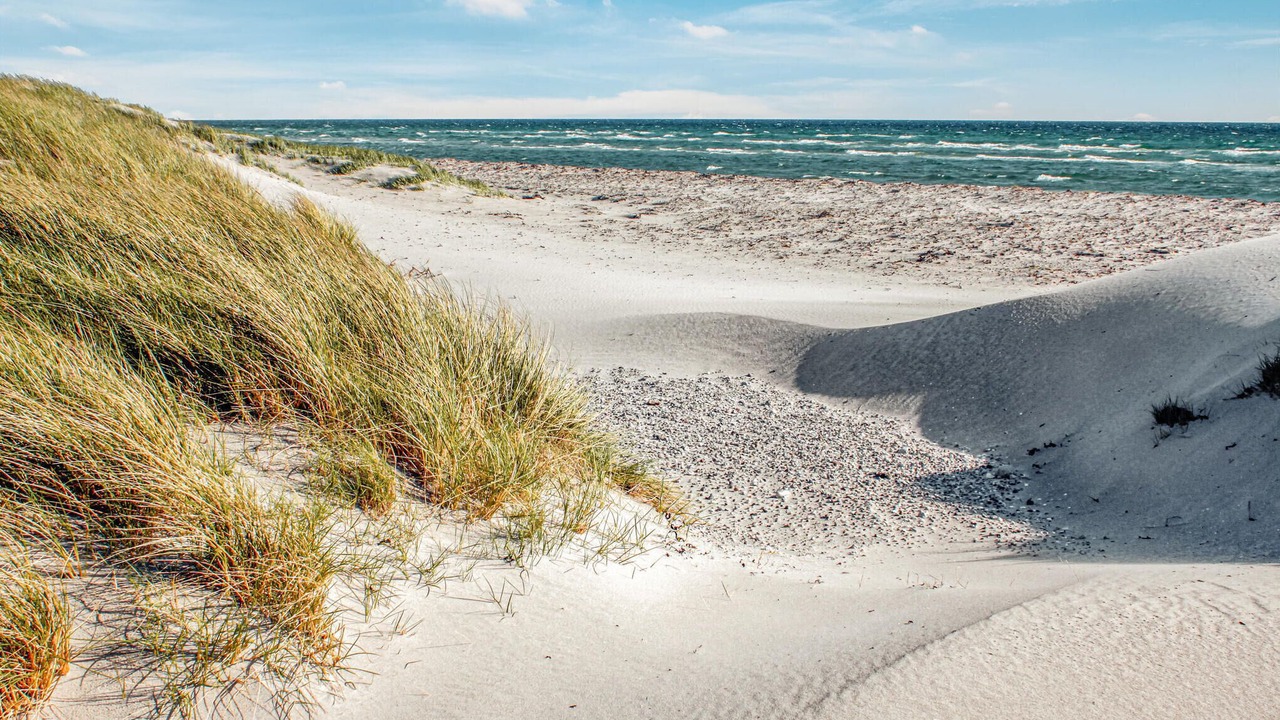 Photo of Others in Øer Strand