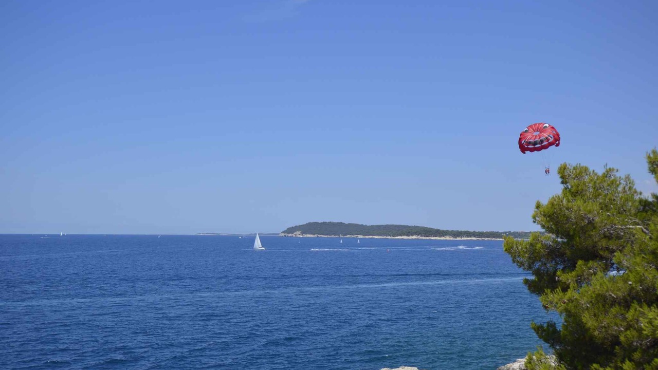 Photo of Others in Vintijan