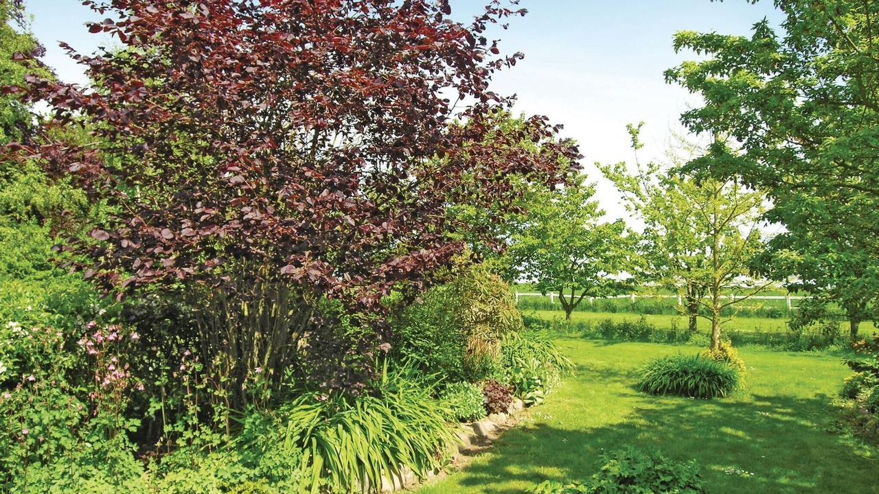 Photo of Outdoor in Akirkeby