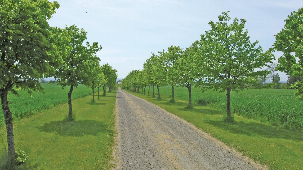 Photo of Others in Akirkeby