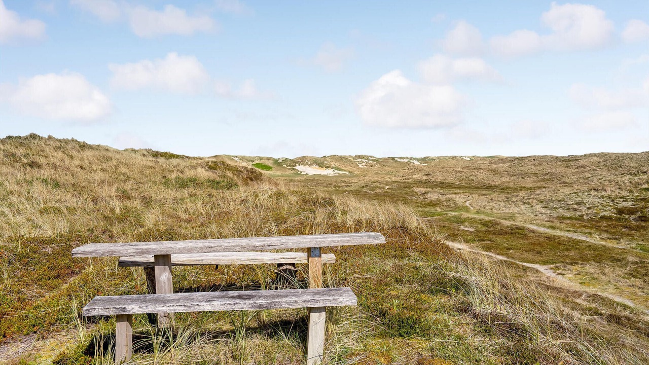 Photo of Others in Houvig Strand