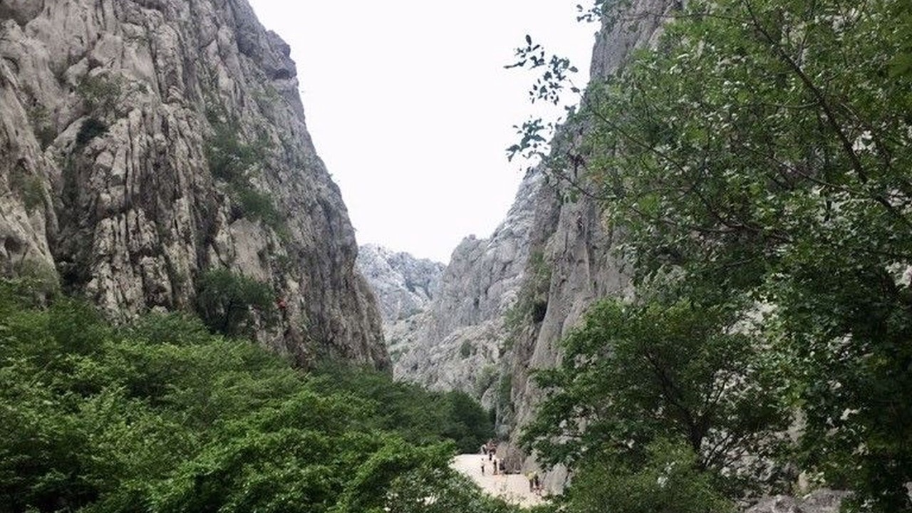 Photo of Others in Starigrad