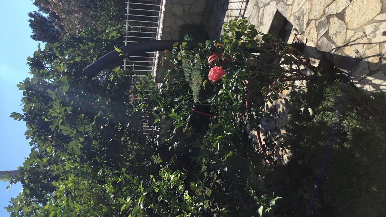 Photo of Outdoor in Starigrad