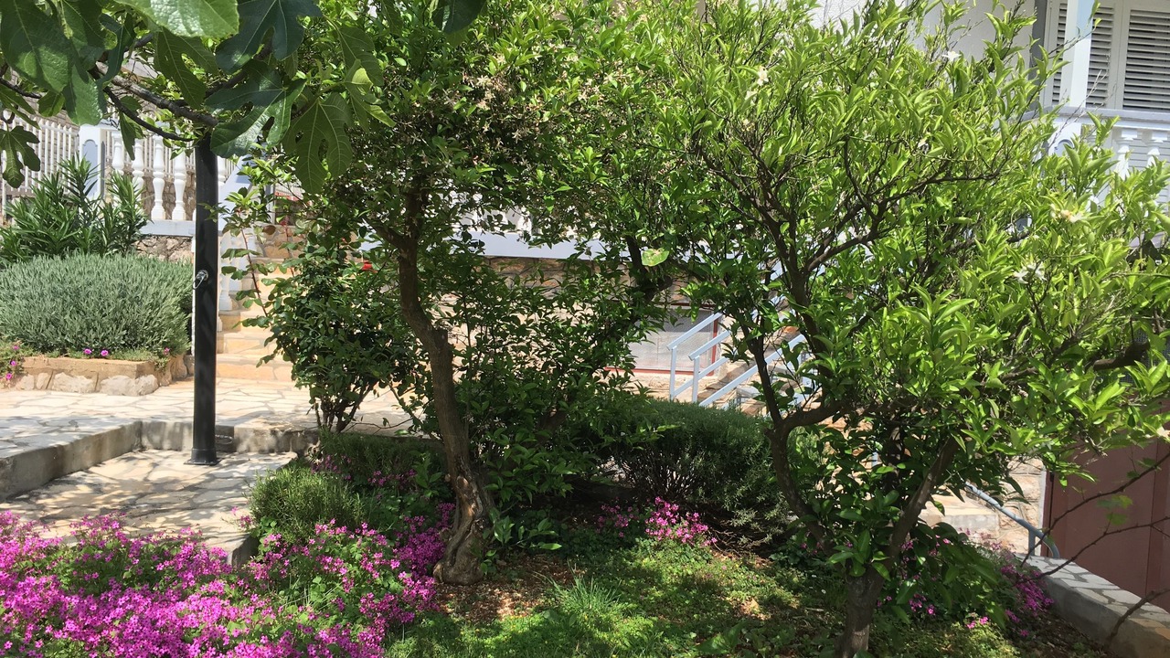 Photo of Outdoor in Starigrad