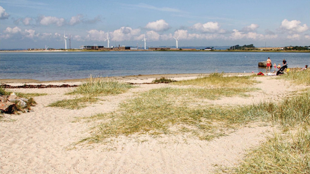 Photo of Others in Øer Strand