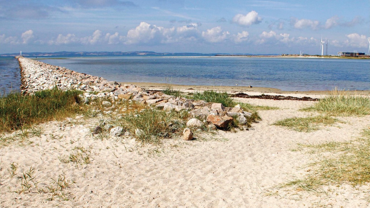 Photo of Others in Øer Strand