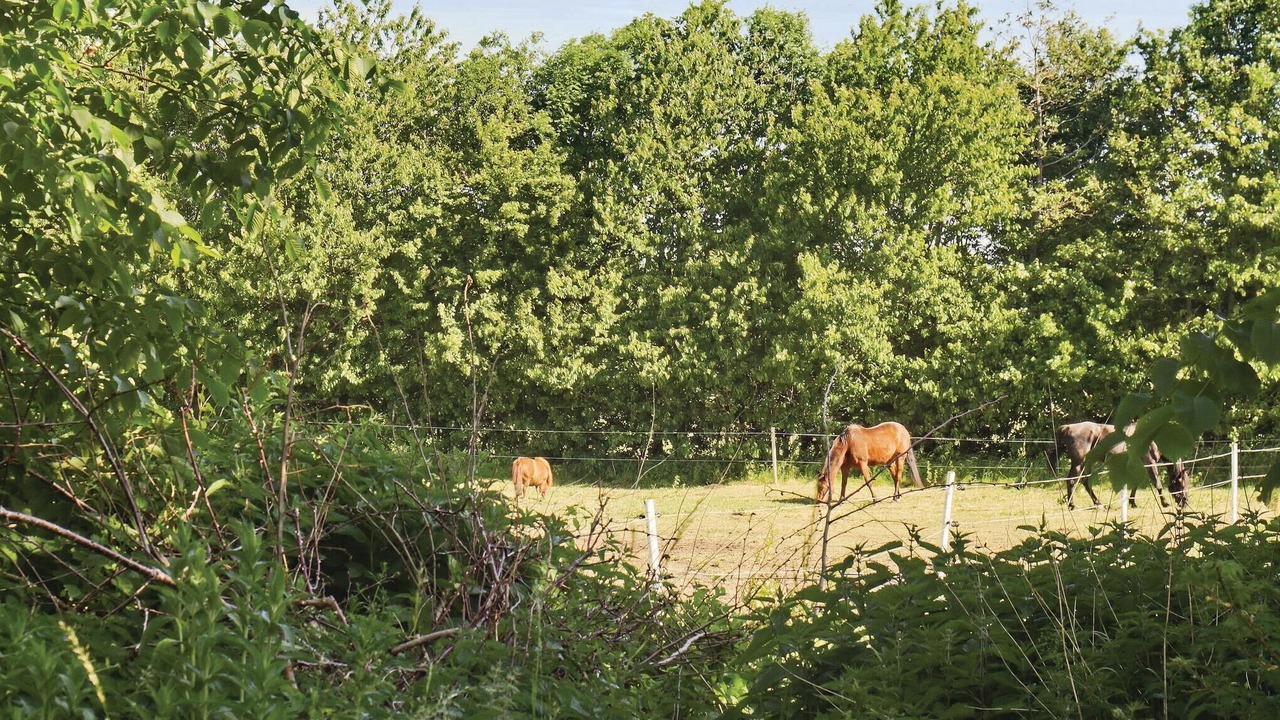 Photo of Others in Allingabro