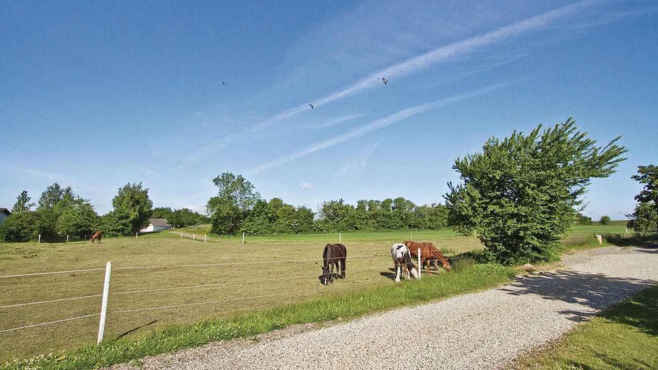 Photo of Outdoor in Allingabro