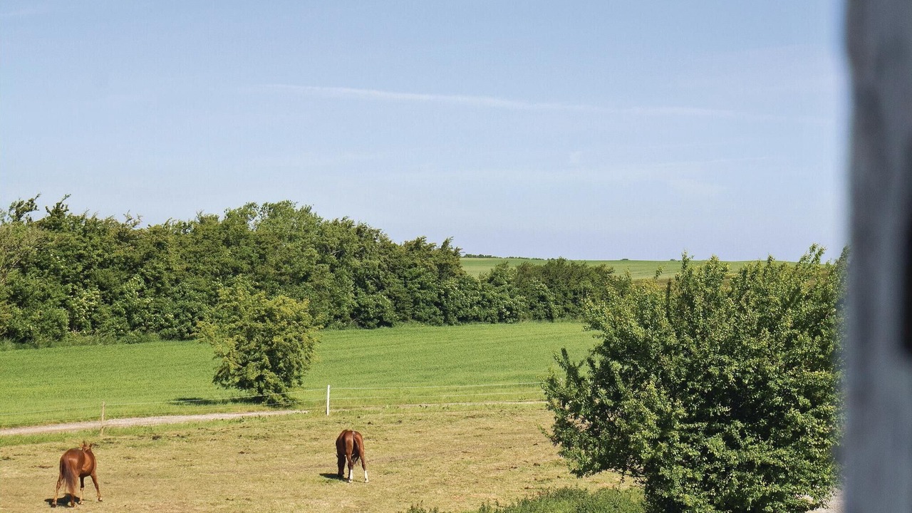 Photo of Outdoor in Allingabro