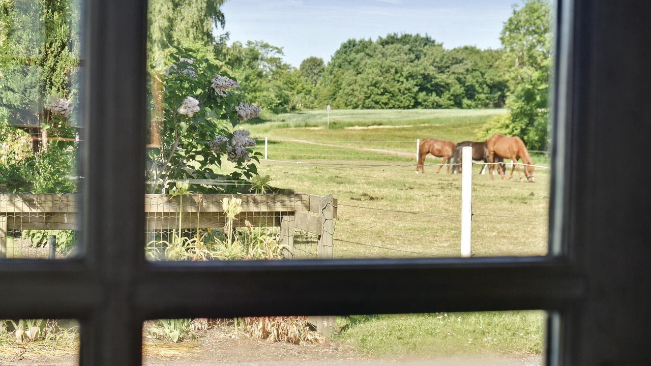 Photo of Outdoor in Allingabro