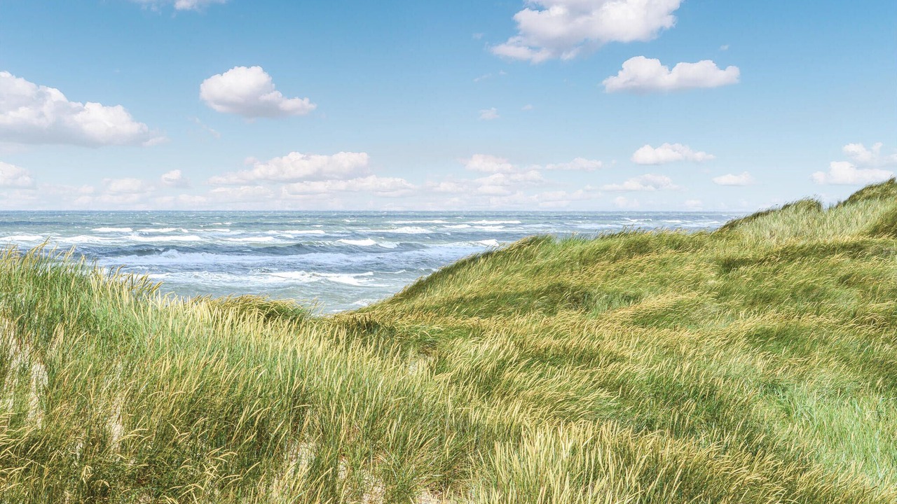 Photo of Others in Houvig Strand