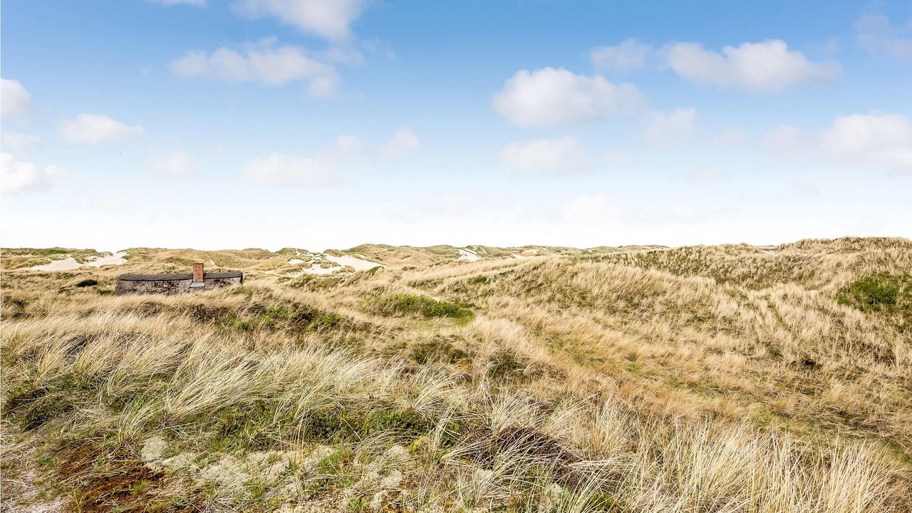 Photo of Others in Houvig Strand