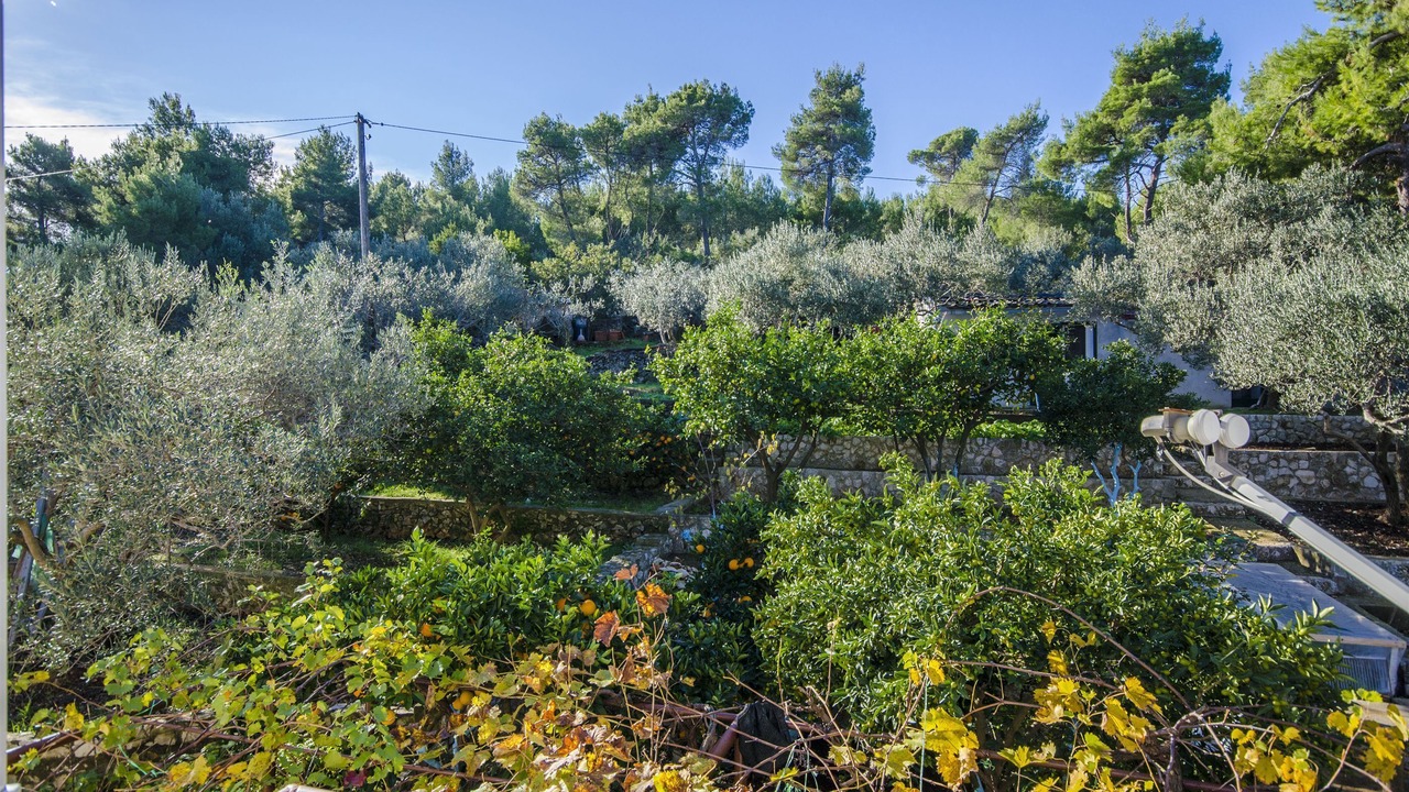 Photo of Outdoor in Slatine