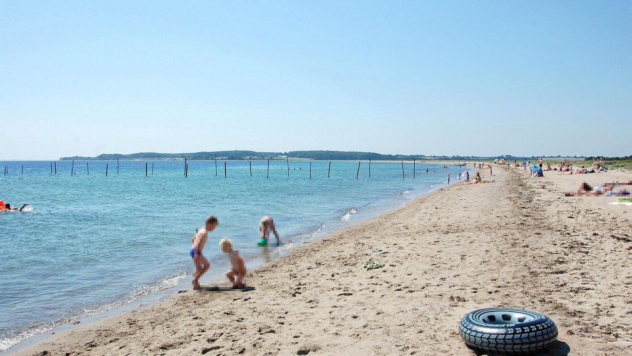 Photo of Others in Flovt Strand