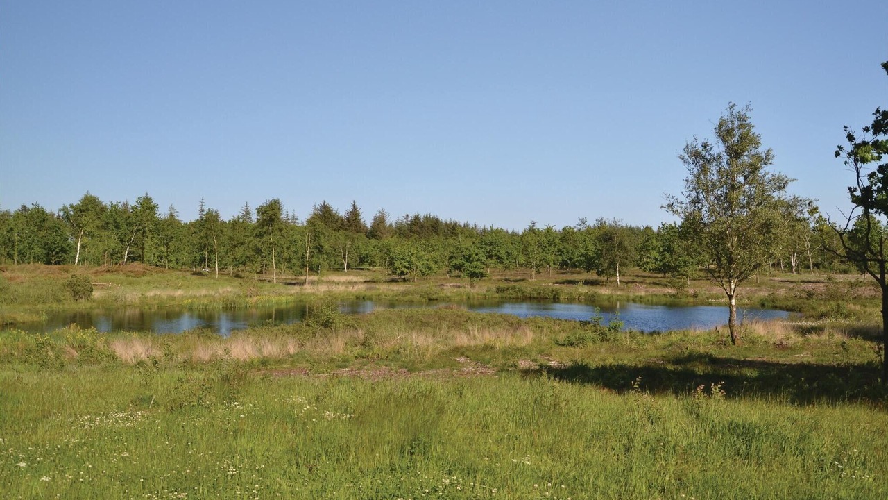 Photo of Others in Ertebølle
