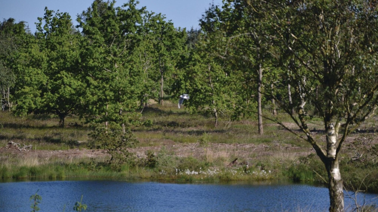 Photo of Others in Ertebølle