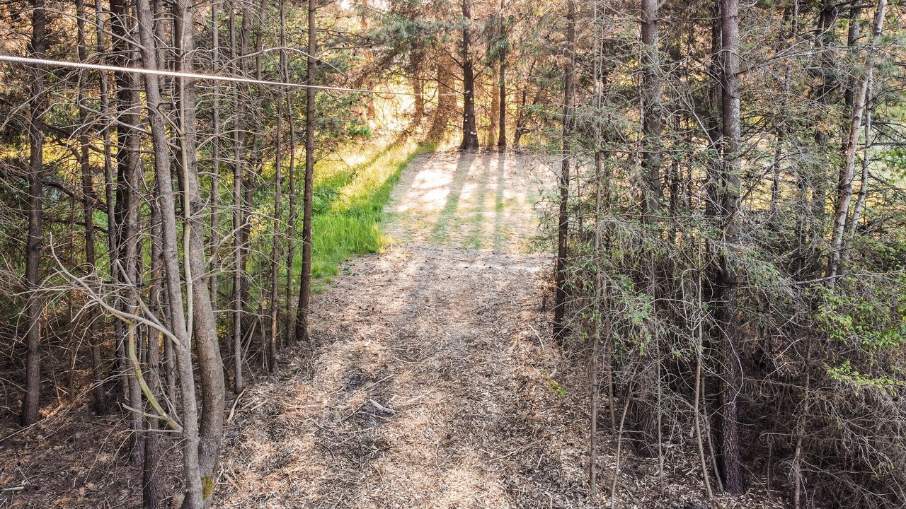 Photo of Others in Tversted