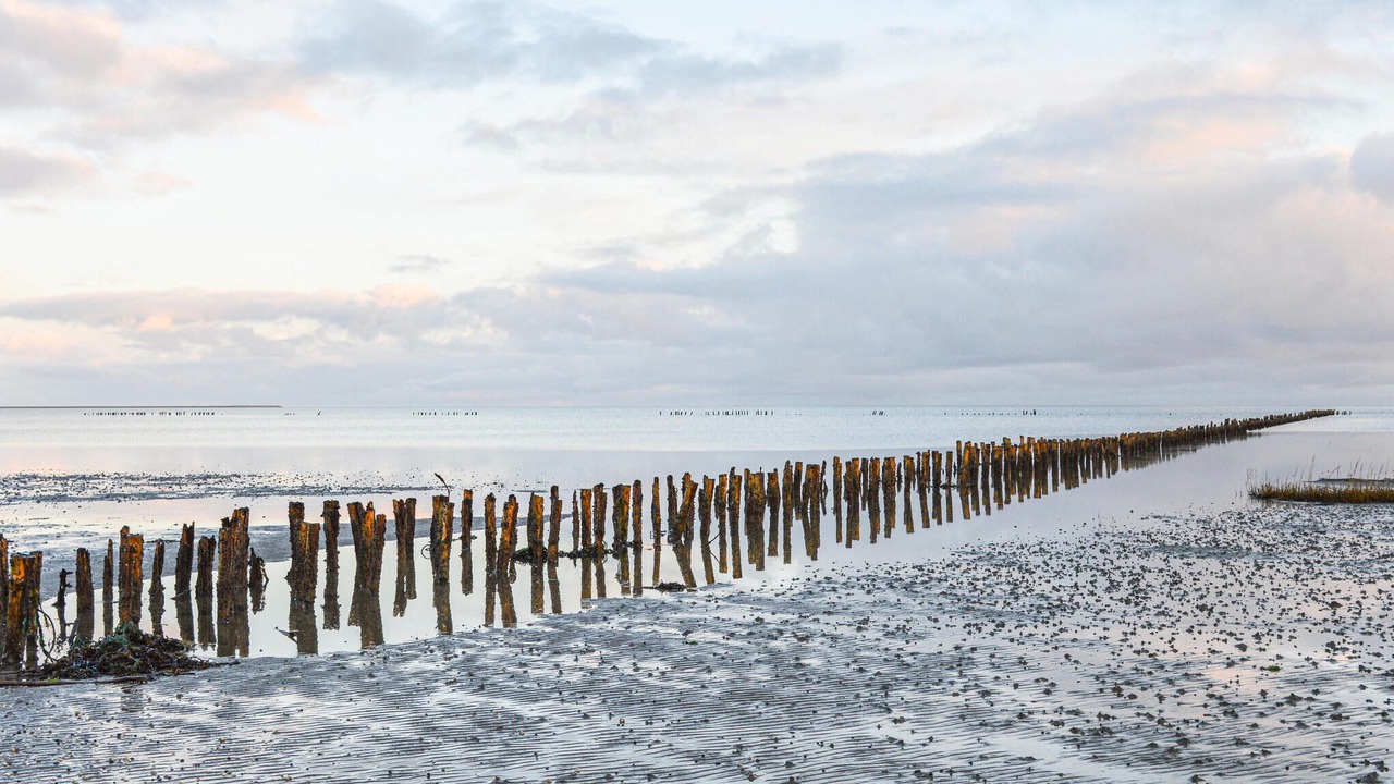 Photo of Others in Sønderstrand