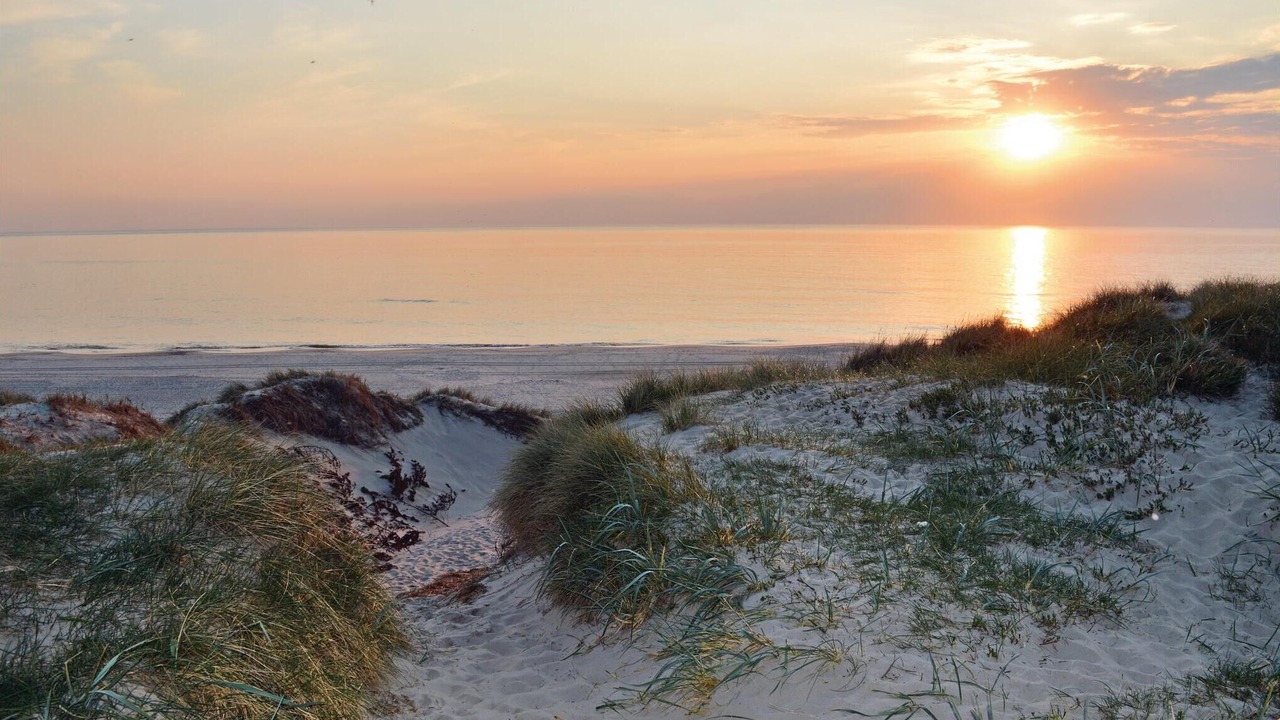 Photo of Others in Henne Strand