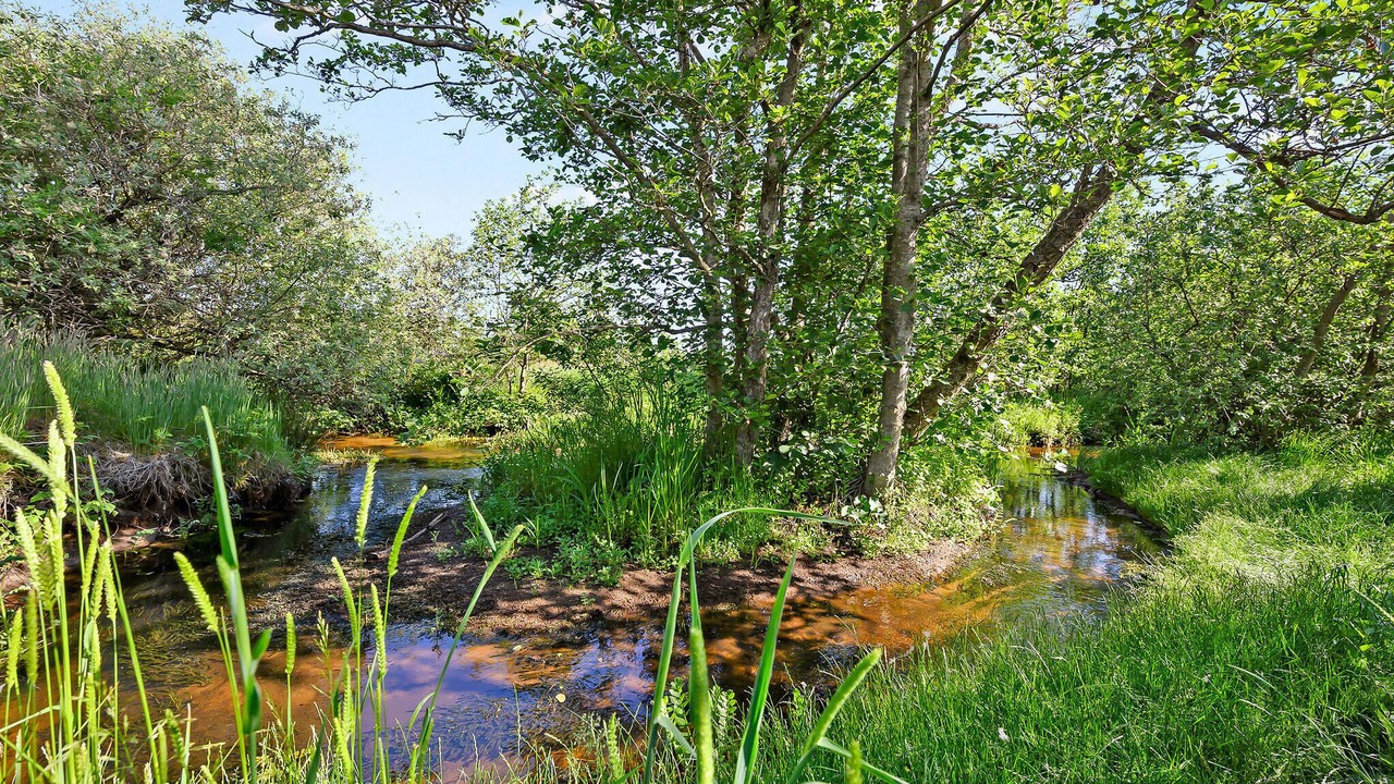 Photo of Outdoor in Slette Strand