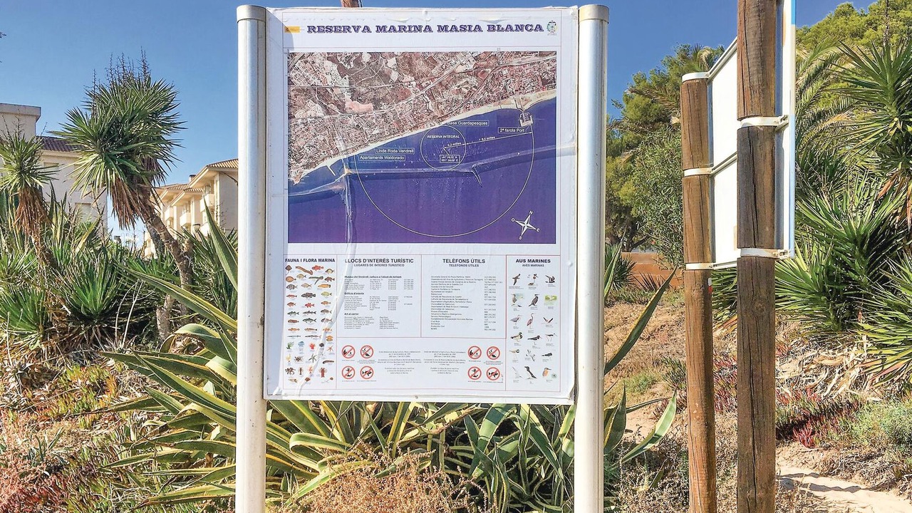 Photo of Others in Comarruga