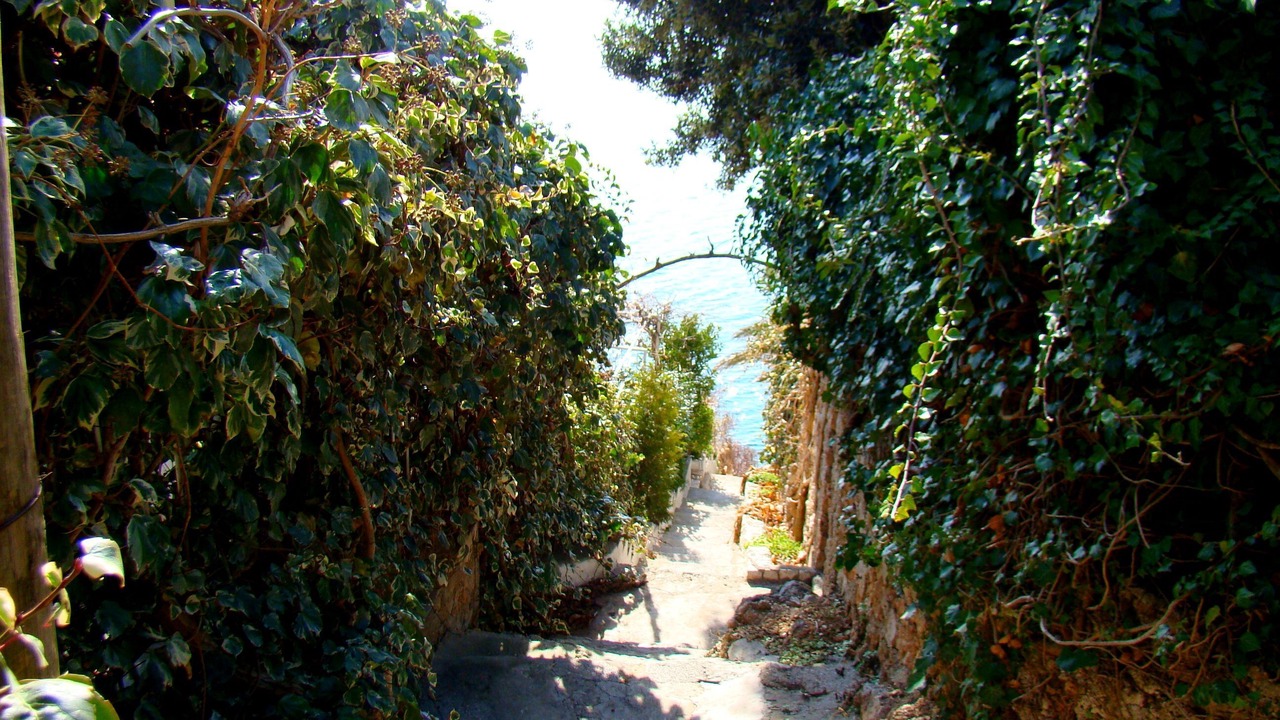 Photo of Outdoor in Stanici