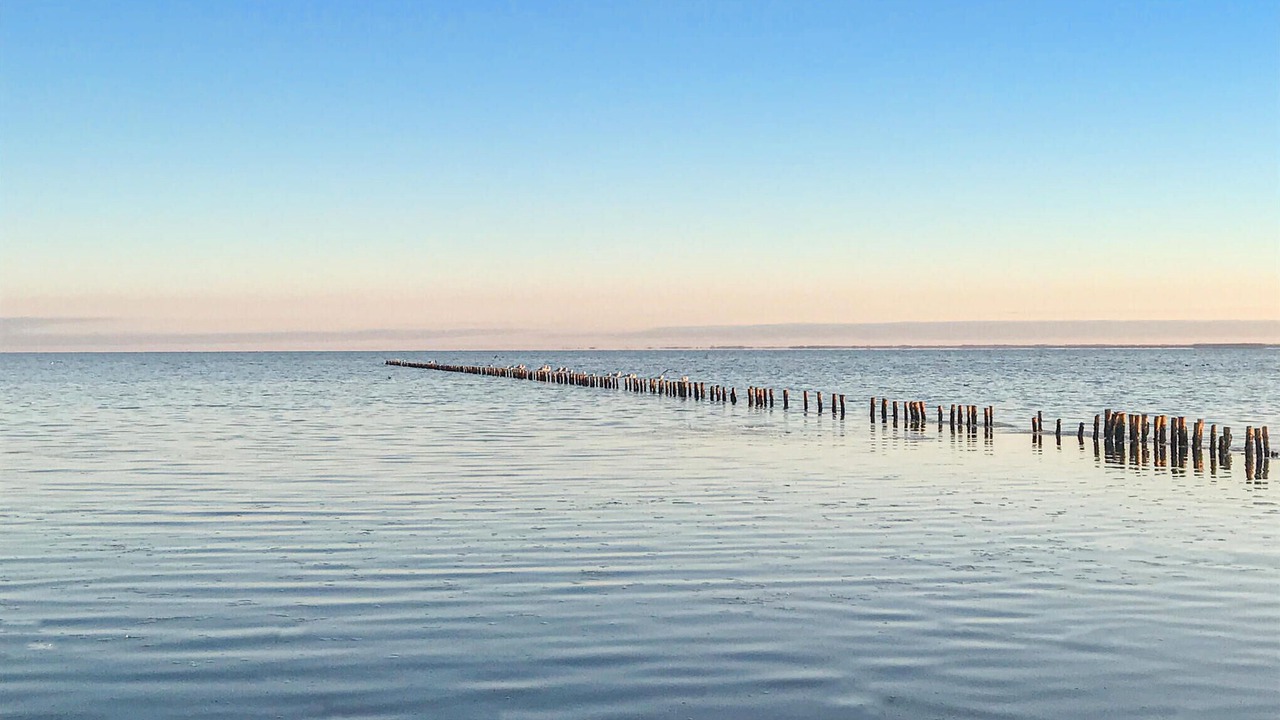 Photo of Others in Skaerbaek