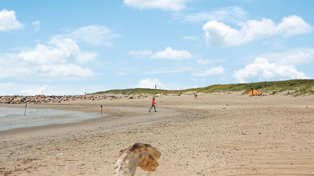 Photo of Others in Blavand Strand
