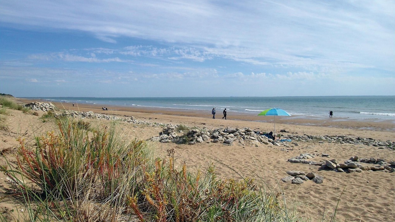 Photo of Others in La Tranche-sur-Mer
