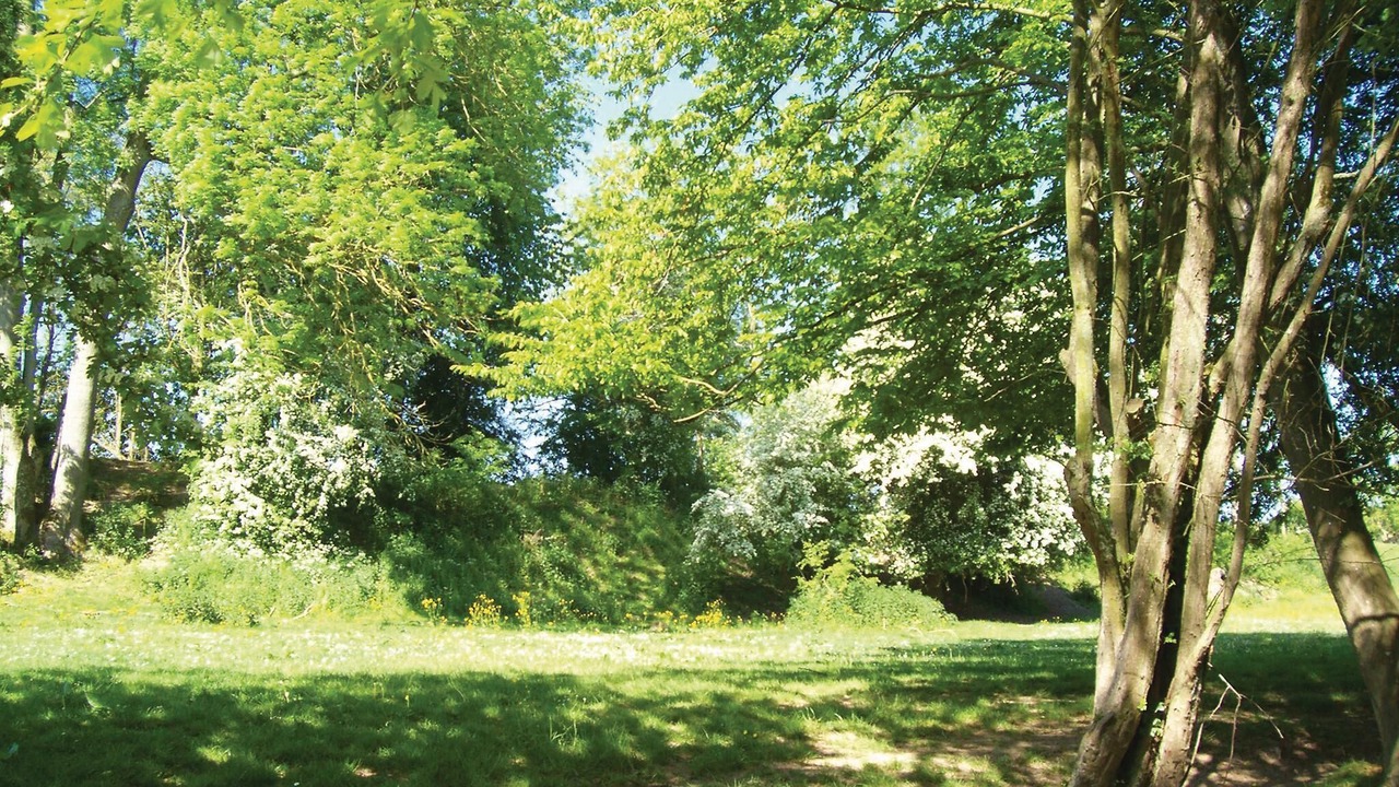 Photo of Others in Chigny