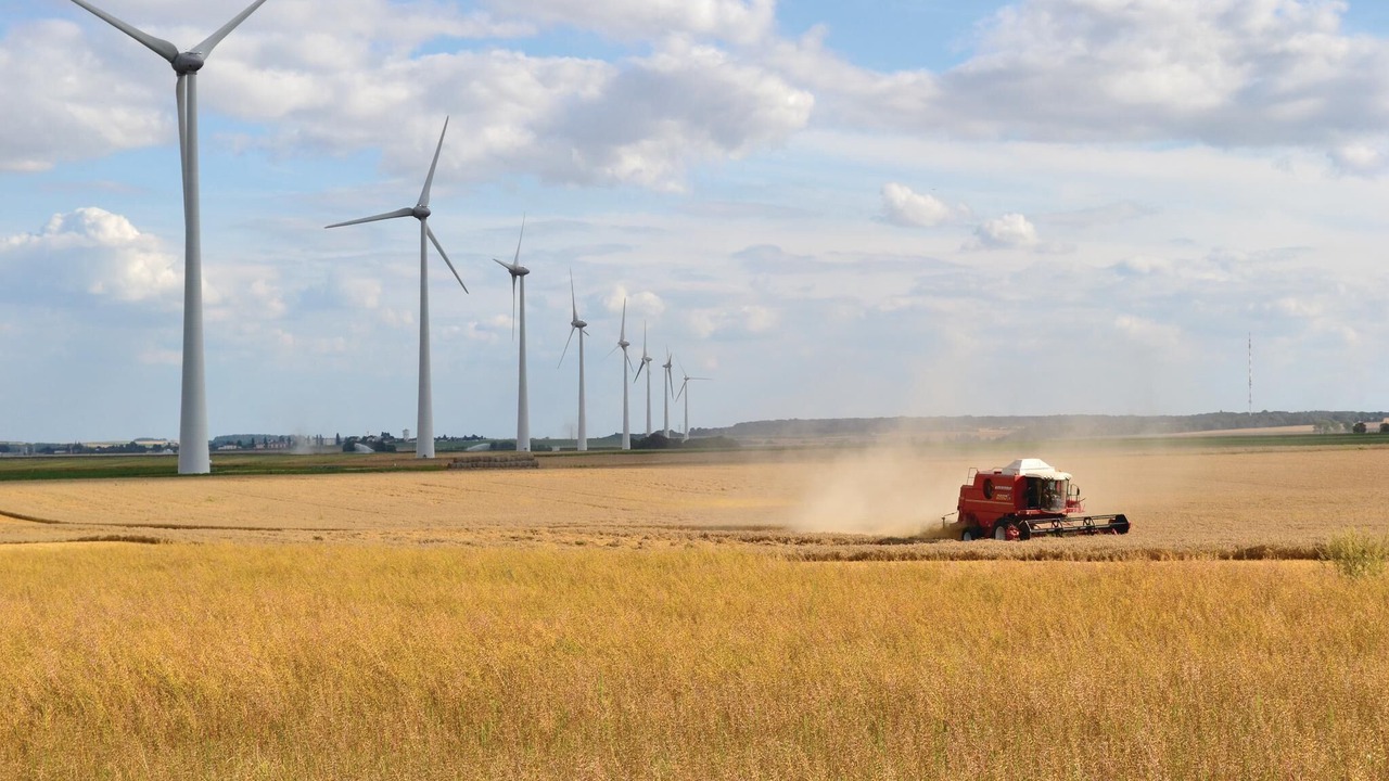 Photo of Others in Chigny