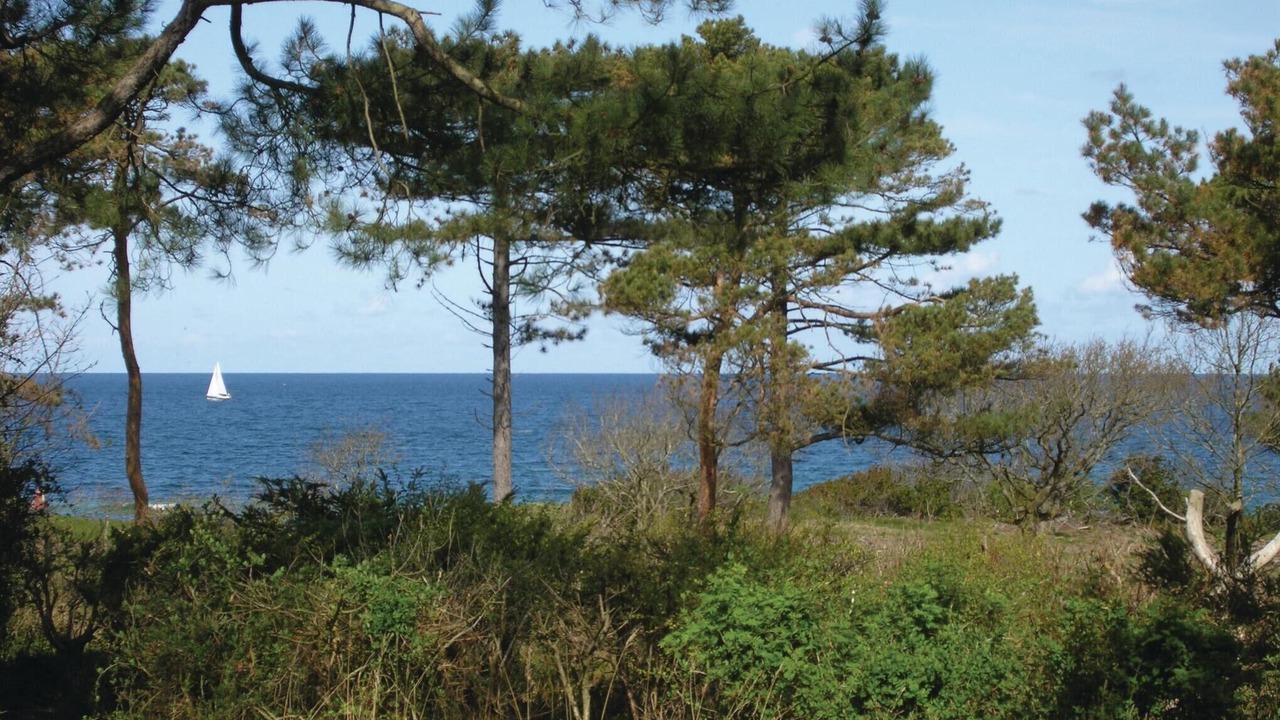 Photo of Others in Udsholt Sand