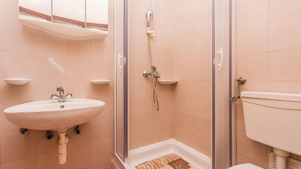 Photo of Bathroom in Milcetici