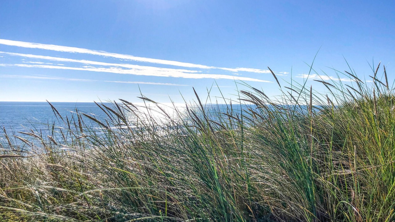 Photo of Others in Bratten Strand