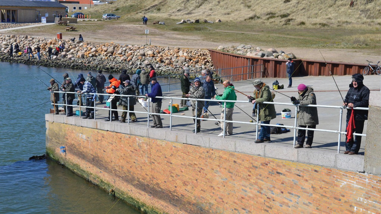 Photo of Others in Nørre Lyngvig