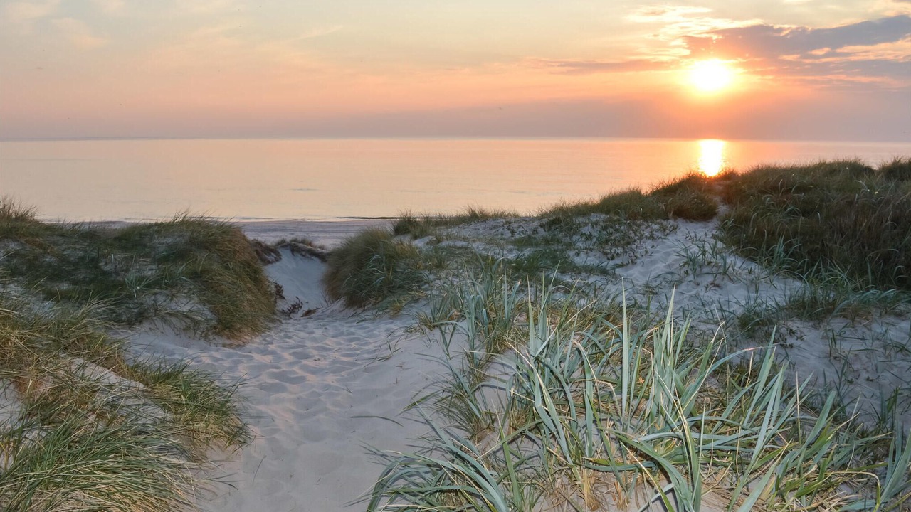 Photo of Others in Nørre Lyngvig