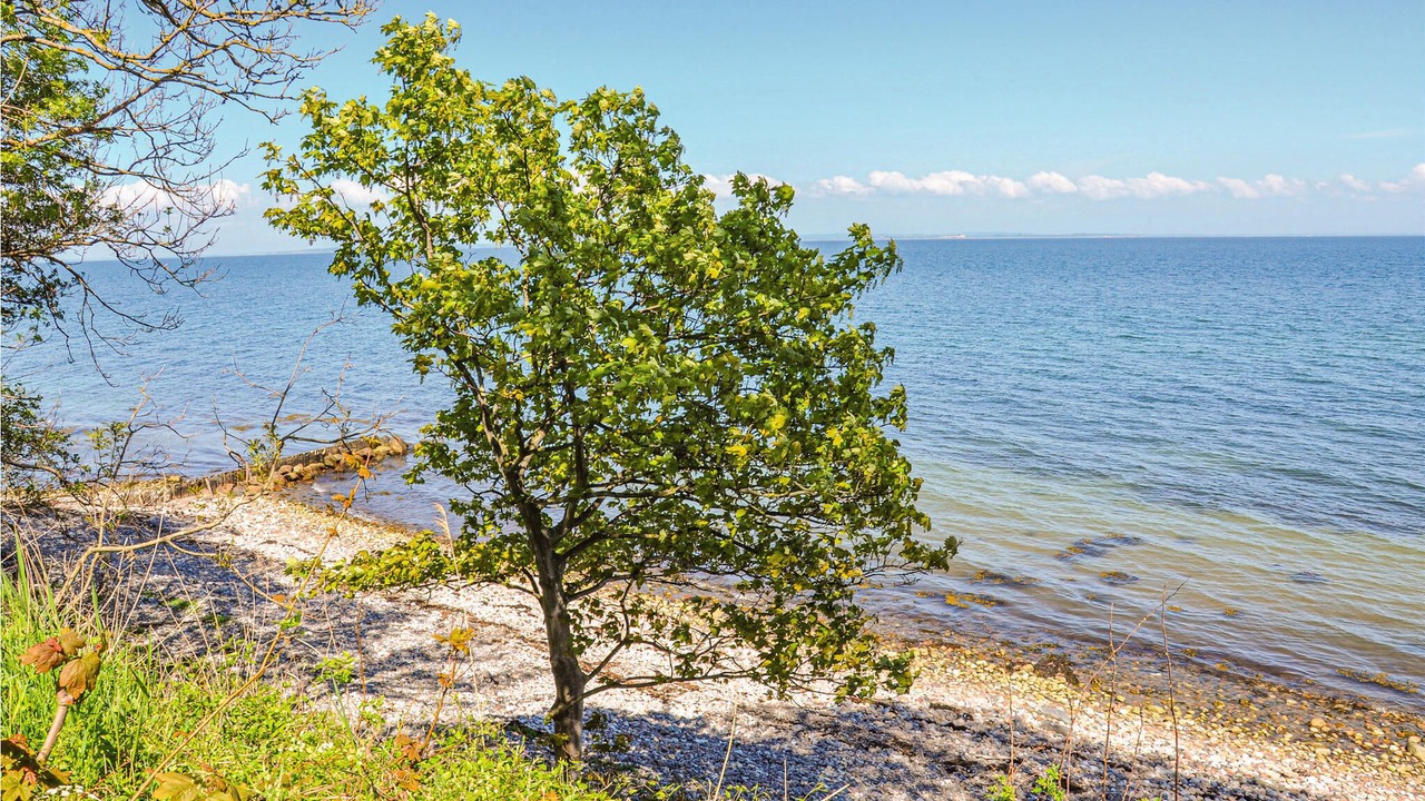 Photo of Bedroom in Asserballeskov