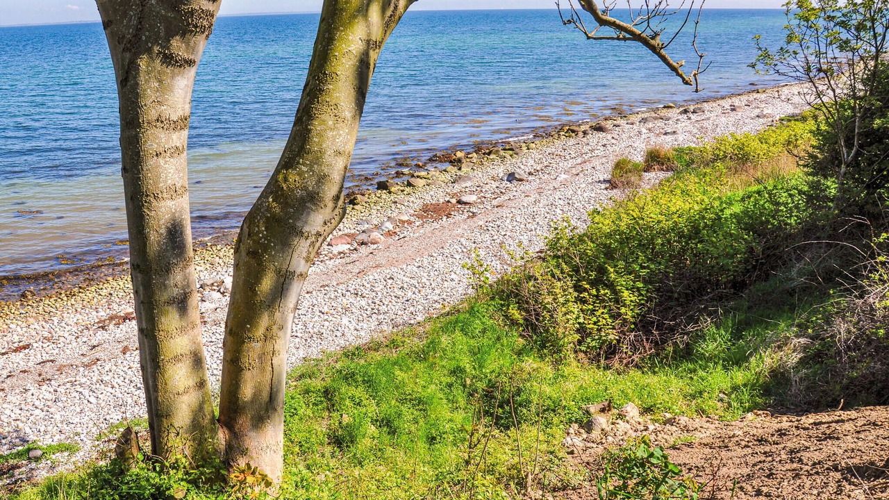 Photo of Bedroom in Asserballeskov
