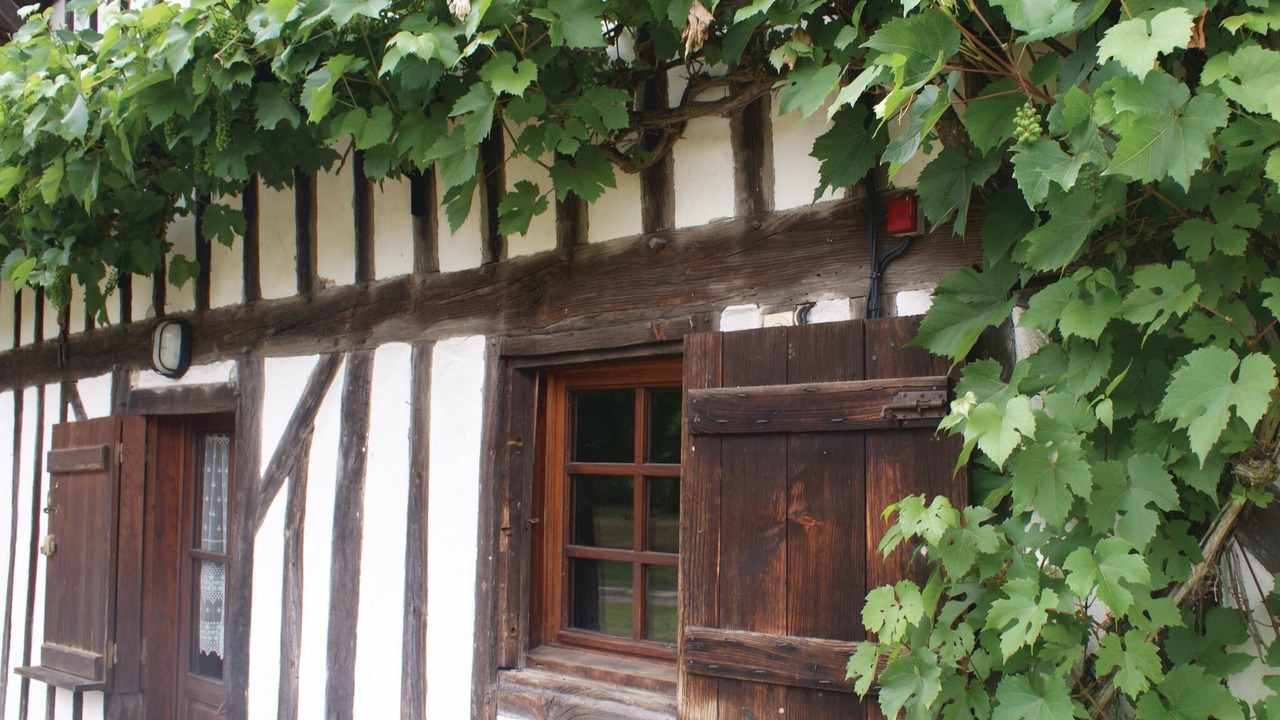 Photo of Outdoor in Vert