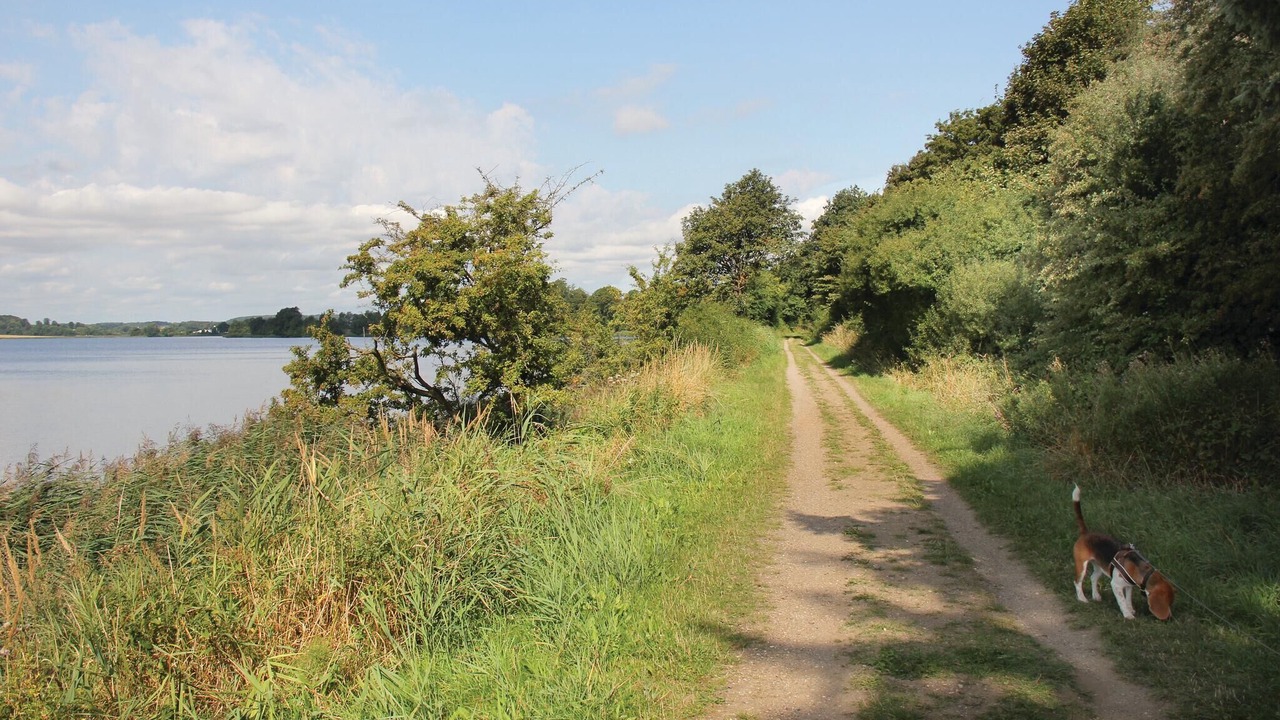 Photo of Others in Hejlsminde